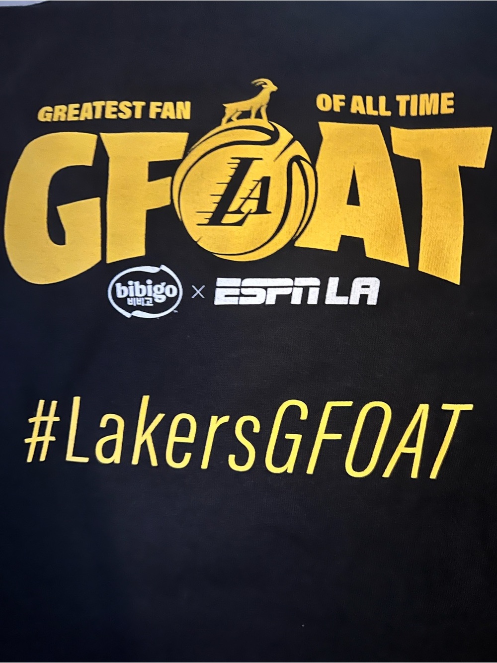 Lakers GFOAT Black & Gold Fan Tee plus another Lakers tee and misc items